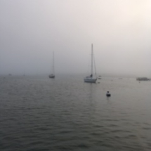 foggymorning foggymorning